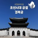 272-1020 | 서울 뚜벅이 나들이 경복궁 혼자 방문후기