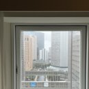 이브이인터네셔날 | 도쿄 출장 3일차 (마지막 날 편의점 털기, 회전초밥, 카푸치노, 애플망고 선물)