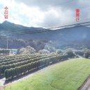 함양약국 이미지