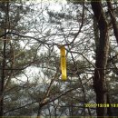 마산동할먼네집 이미지