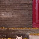 어쩌다민박 이미지