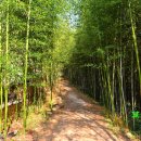 백운동 정원 이미지