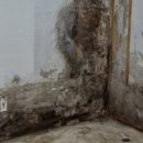 도순동-3 이미지