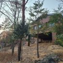 자연휴양림 숲속의집 이미지