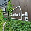 내돈내산 가평 숙소 스테이엘 펜션 솔직한 이용후기 (애견동반가능, 마운틴뷰)