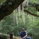 Where the Crawdads Sing 이미지