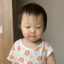 도미노피자(상주서문점)