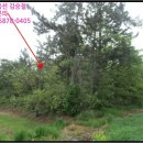 대진보건진료소 이미지