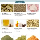 도그리니 이미지