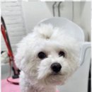오늘도 예쁘개 이미지