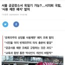 국민의힘 시의회, ‘공공장소서 욱일기 허용’ 조례 발의 (조례 발의자 및 찬성자 명단) 이미지