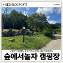 숲에서놀자 : 가을에 가기 좋은 캠핑장: 홍천 단풍캠핑장: 프라이빗사이트 추천
