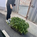 공복회관 이미지