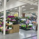 하나로 플라워 수족관 이미지