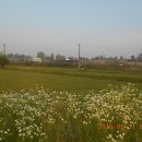 용머리길 이미지