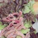 맘모스회센타3호