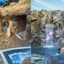 스파밸리 이미지