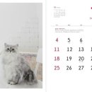 펫러브 - 8968 | 펫러브