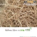백현숙의어성초사랑