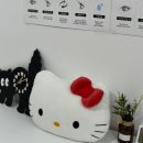 로아래쉬 | [군포/산본역]로아래쉬에서 속눈썹 연장한 후기