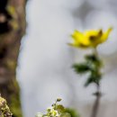 (주)조엔 이미지