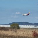 인천공항 주차대행 이용 시 안전성 확보와 비용 효율을 높이는 현실적인 대안 제시 여행자