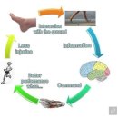 고유 피트니스 이미지