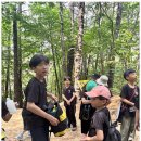 TL태권도 이미지