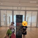 [미국 속 한국] #15 메트라 버스타고 시카고 미술관 한국 특별전 The Art Institute of Chicago Korean...