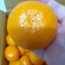 탁이농장 이미지