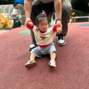 호수공원8 호수소풍숲, 푸른들판 사이 | 울산 선암호수공원 무지개놀이터 아기랑 가을 피크닉으로 가볼 만한 장소