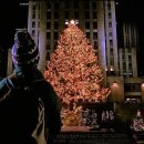 해찬농원 이미지