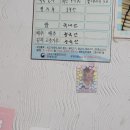 진션 이미지