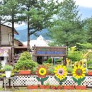 허브농원 이미지