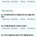 샘마루초등학교 이미지