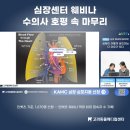 호평동물병원 | 인벳츠 무료 웨비나 후기 | ‘Normal First’로 다시 보는 강아지 심장의 기본