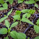 동부농약사 이미지