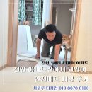 시쿠루디자인
