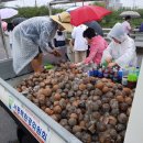 3공단3로-14 이미지