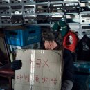 콘크리트 유토피아 이미지