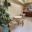 새건영약국 이미지