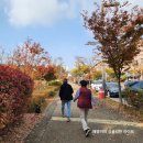살곶이길 | 애견동반펜션 석양이 예쁜 석양이예쁜집 후기
