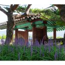 김해수로왕릉 이미지