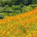 정복농장 이미지