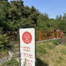 80 | 대구 경북 아이와 가볼만한곳 경산 글램핑 캠핑 식당 키즈 캠프닉 리틀 80 후기