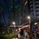 씨엠마트 | [하와이 태교여행 1] 코나커피, 마루카메우동, 말리아 호텔, 치크케익팩토리, 와이키키해변