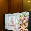 외곡 | 일산 웨스턴빌리프 웨딩홀 27년 견적 공유 식대 뷔페 당일혜택 주차 홀투어