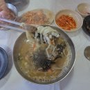 광천1번지 | 광천 가면 꼭 가야 하는 곳| 속는 셈 치고 갔다가 찐팬 된 광천 1번지 칼국수 🍜