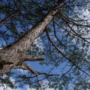 갈천오토캠핑장 이미지