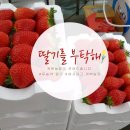 계백농장 이미지